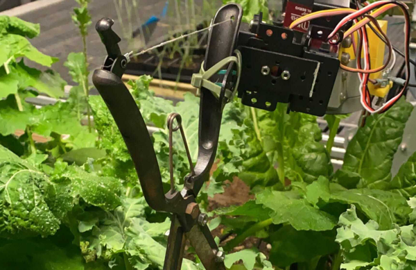 a-robotic-servo-on-a-gantry-zip-tied-to-a-pair-of-pruning-shears-hovers-above-a-lush-green-garden-plot.png