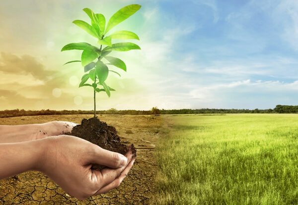 Hand holding plant on soil in over cracked earth against climate change background